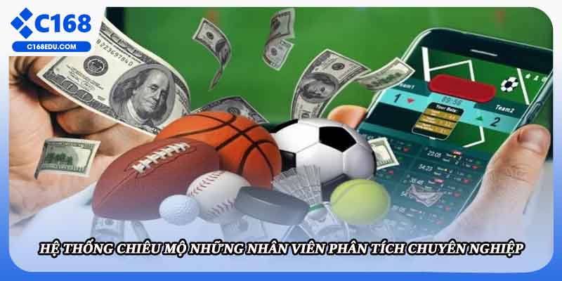 Hệ thống chiêu mộ những nhân viên phân tích chuyên nghiệp 